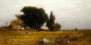 Arbres et prairie