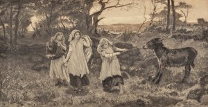 Trois filles et un âne
