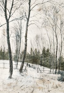Deux figures dans un bois d