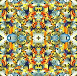 Carreau de poisson kaléidoscope