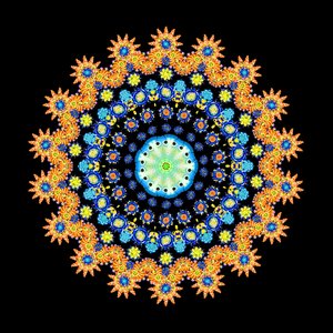 Roue de poisson tropical 2 - Robyn Parker