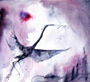 Le vol enchanteur des oiseaux