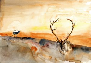Chaque coucher de soleil doré - RodMacIver