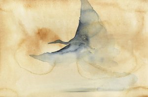 Un oiseau éthéré planant dans les airs - RodMacIver