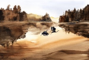 Le vol des oiseaux du lac Golden - RodMacIver