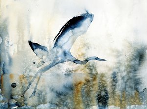 Le vol gracieux du héron - RodMacIver