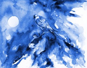 Faucon bleu au clair de lune - RodMacIver