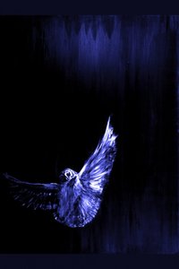 Le vol de la chouette bleue mystique - RodMacIver