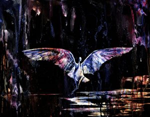 Vol nocturne mystique