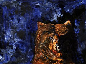 Le regard puissant du grizzli - RodMacIver