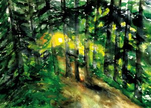 Sentier forestier ensoleillé - RodMacIver