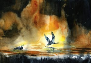Oiseaux aquatiques au coucher du soleil