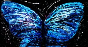 Papillon bleu éclatant - RodMacIver