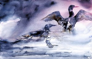 Les oiseaux aquatiques au crépuscule