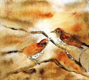 Oiseaux à l