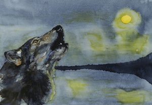 Un loup hurlant à la lune
