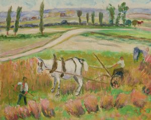 Récolte avec un cheval blanc