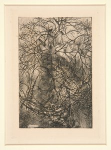 Branchages - Rodolphe Bresdin