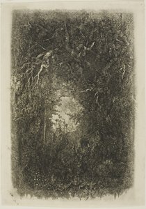 Clairière dans la forêt - Rodolphe Bresdin