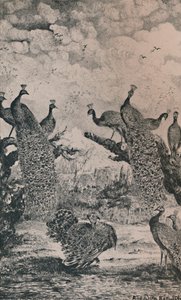 Les Paons, 1869, 1946