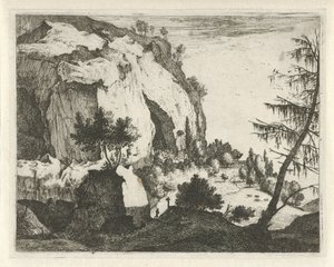 Paysage de montagne