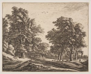 N° 4, extrait de Six vues dans le bois de La Haye