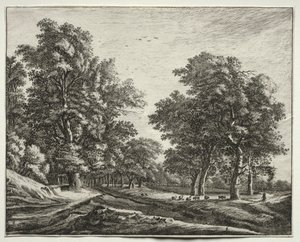Six vues dans le bois de La Haye : Chèvres sous les arbres
