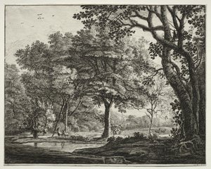 Six vues dans le bois de La Haye : Planche 6, Deux cerfs