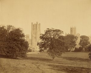 La cathédrale d