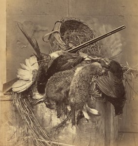 [Nature morte avec gibier et fusil]