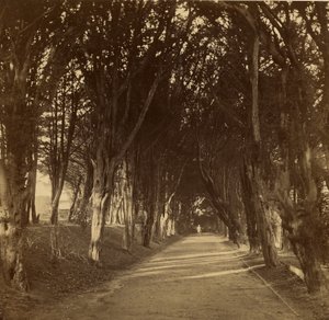 La promenade des ténèbres ; Stonyhurst