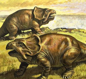 Protoceratops, illustration tirée de "Au temps des dinosaures, découverte dans le désert".