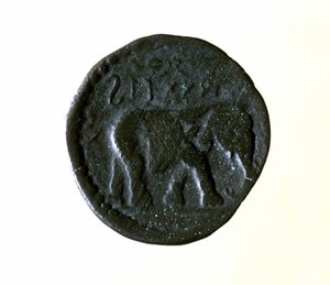 Pièce de Carthage représentant un éléphant. IIIe ou IIe siècle av. J.-C. - Roman