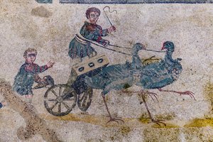 Course de chars tirés par des oiseaux