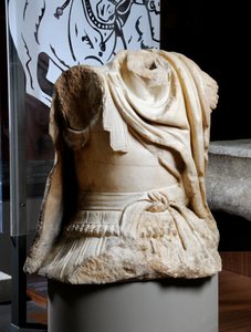 Torso sculpté d