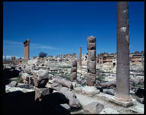 Les six colonnes du Temple de Jupiter