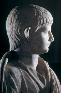 Statue togée du jeune Néron, vue latérale de la tête, vers 50 après J.-C. (marbre) (détail)