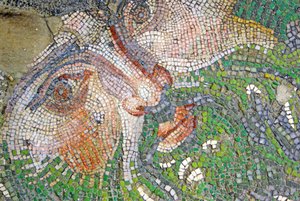 Image inconnue - Roman