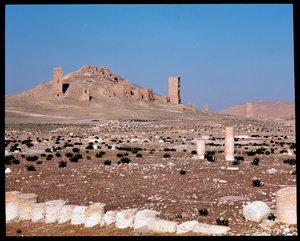 Vue des tours-tombes de Iamblichus et Elahbel - Roman