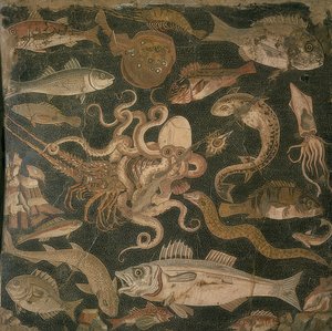 Animaux aquatiques, combat entre une pieuvre et un homard