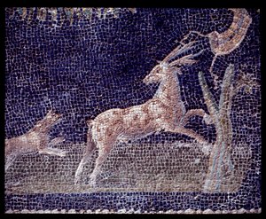 Détail des mosaïques murales du nymphée de la casa di Nettuno e Anfitrite - Roman Roman