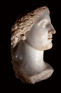 Tête de la déesse Junon - Sculpture en marbre blanc, période romaine, Banasa (Maroc) - Musée d