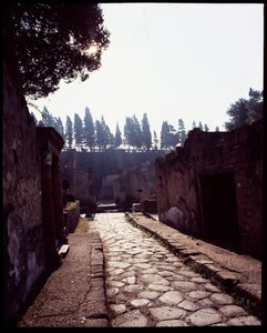 Vue du cardo V, Ve siècle av. J.-C.-Ier siècle après J.-C.