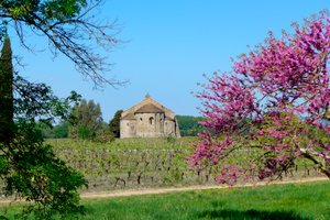 Chapelle romane Saint-Étienne de Vaissière à Azille (photographie) - Romanesque