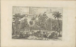 Arbres et épices