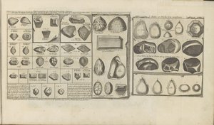 Diamants, rubis et perles - Romeyn de Hooghe