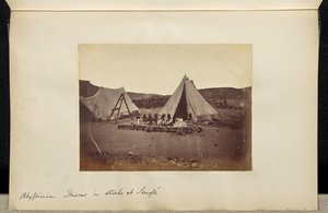 Abyssinie. Voleurs de stocks à Senafe.