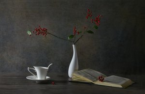 Nature morte « Lecture douillette »