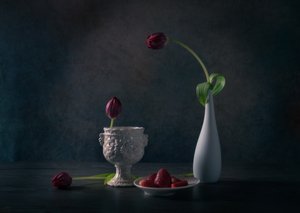 Tulipes et fraises mélancoliques