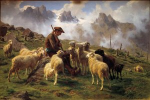 Un berger alpin donnant du sel à ses moutons
